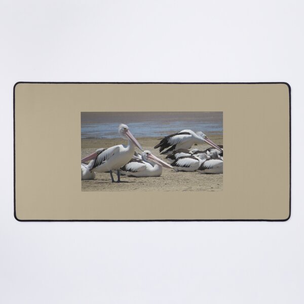 Item preview, Pelican Family designed and sold by Honey Myrtle Studio.