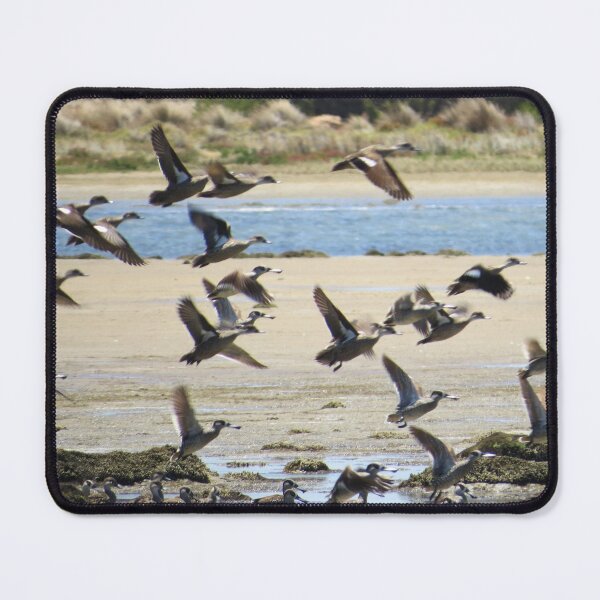 Item preview, In Flight designed and sold by Honey Myrtle Studio.