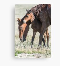 The Safest Place on Earth Canvas Print