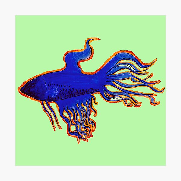 Ruby Blue Fish Design Photographic Print