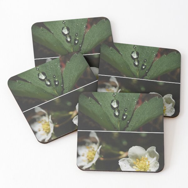 Item preview, Wild Strawberry found on a Hike in Eastern Oregon, Pacific Northwest designed and sold by caitriderphoto.