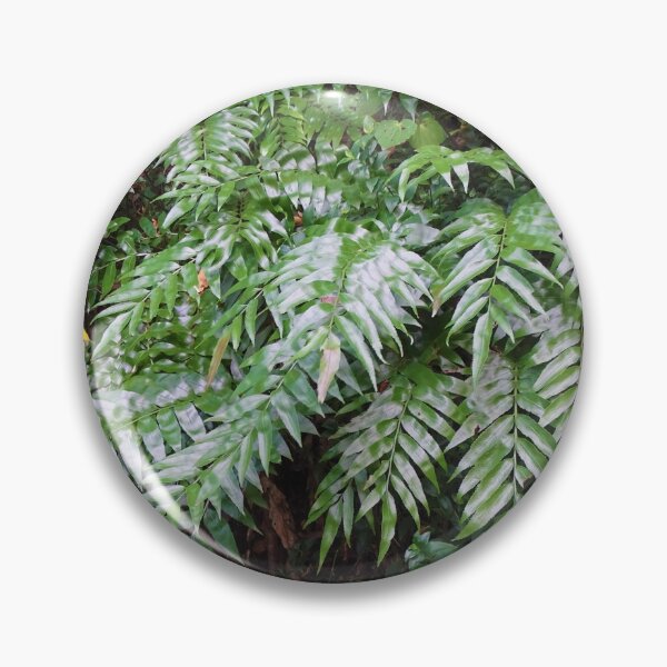Item preview, Astonishing Asplenium designed and sold by LegenDani.
