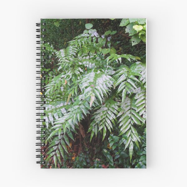 Item preview, Astonishing Asplenium designed and sold by LegenDani.
