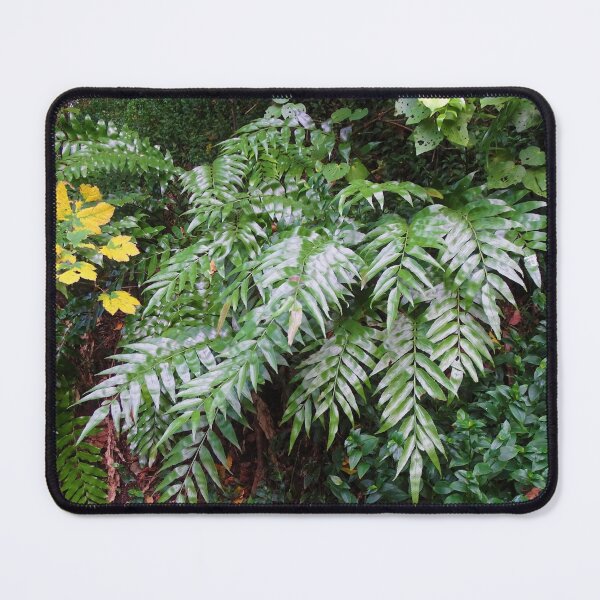 Item preview, Astonishing Asplenium designed and sold by LegenDani.