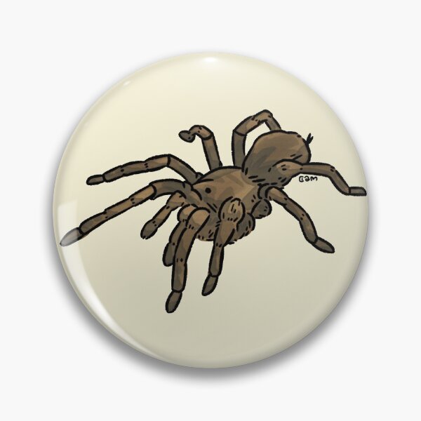 Item preview, Pen and Paper Tarantula Watercolor designed and sold by cam-chowder.