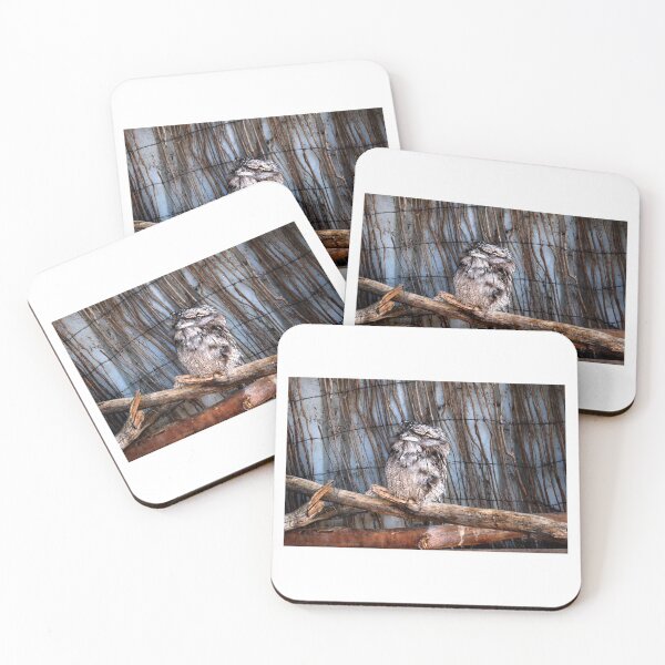 Item preview, Tawny Frogmouth Owl Sitting on a Stick designed and sold by Paul Yeatman.