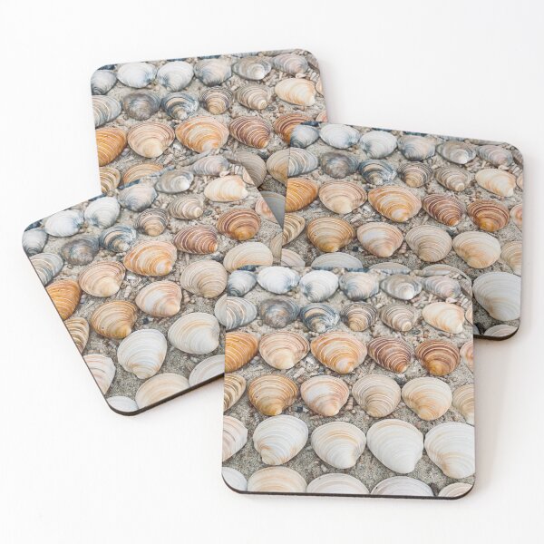 Item preview, Striped clam shells designed and sold by C-L-Cs.