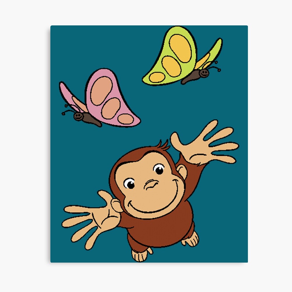 Curious George and the butterflies 