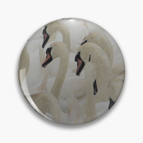 Item preview, Mute Swans Abbotsbury, Dorset designed and sold by Oldrubberpedals.