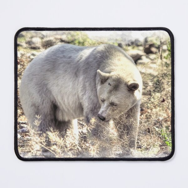 Item preview, Rare Kermode Bear (Spirit Bear) designed and sold by NaturePrints.