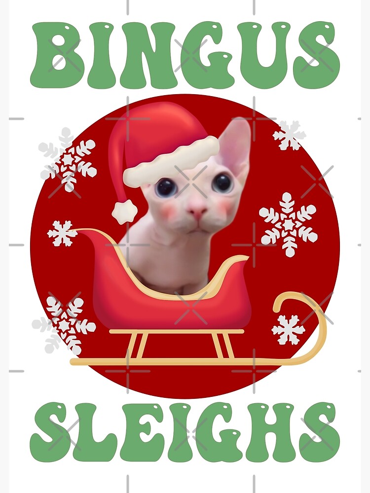 "Funny Bingus Christmas Bingus Cat Christmas Sleigh Bingus Meme