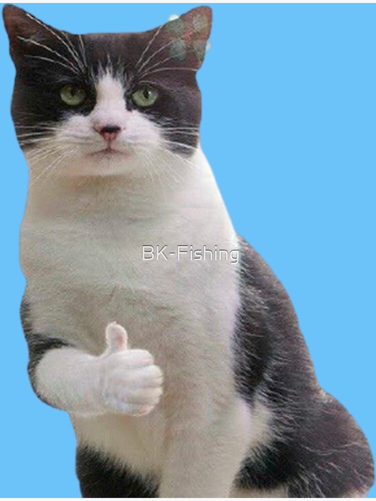 "Cat Meme" Poster for Sale by BKFishing Redbubble
