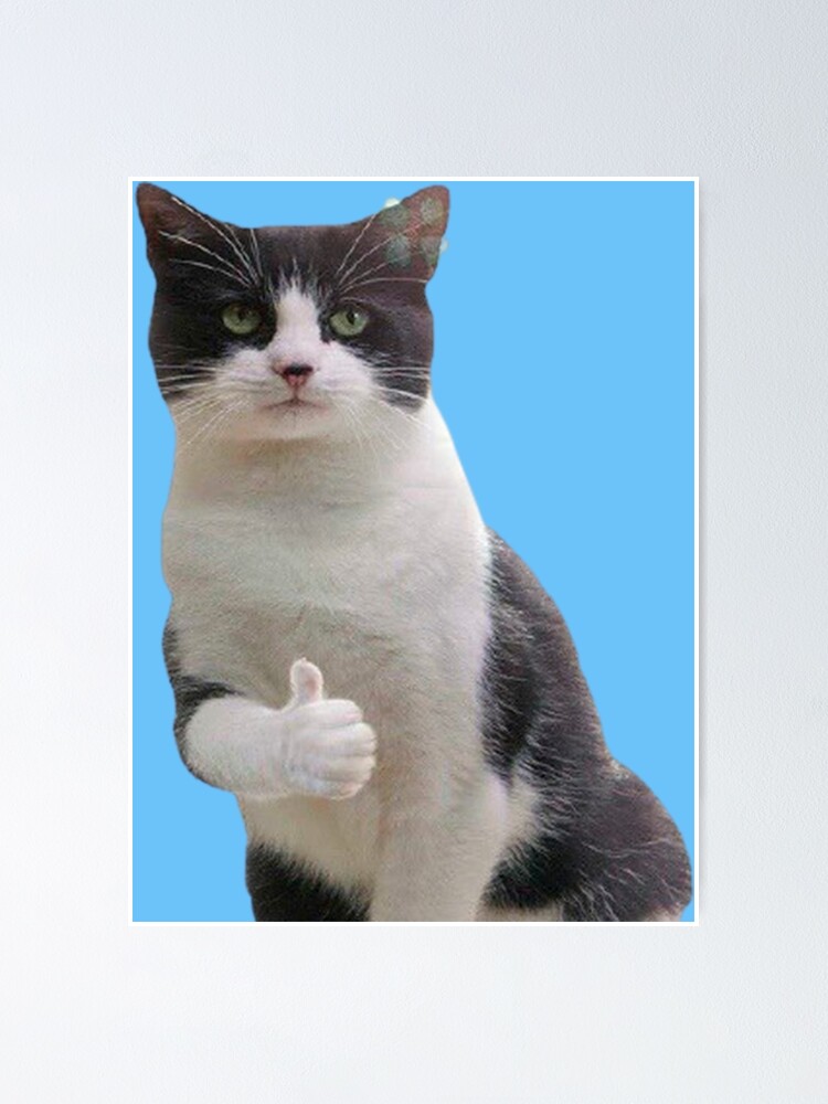 "Cat Meme" Poster for Sale by BKFishing Redbubble