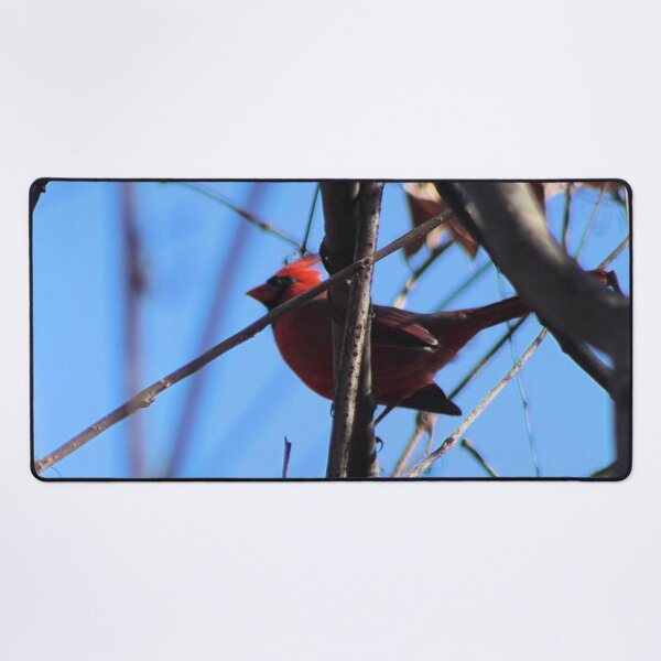 Item preview, RED ZONE designed and sold by BOLLA67.