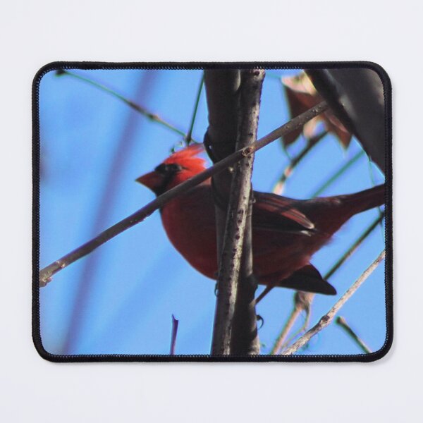 Item preview, RED ZONE designed and sold by BOLLA67.