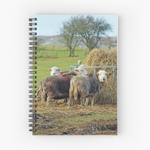 Item preview, Herwick Sheep having their lunch... designed and sold by Liz Lane.