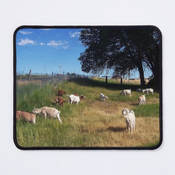 Item preview, Goats in the Field designed and sold by dogplay.