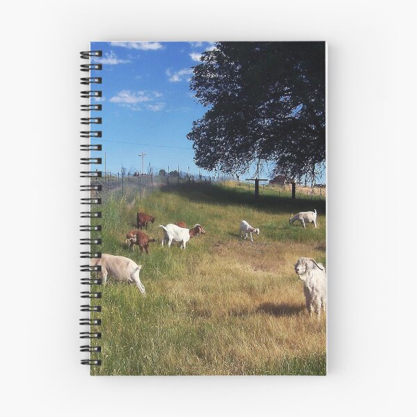 Item preview, Goats in the Field designed and sold by dogplay.