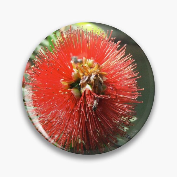 Item preview, Bottlebrush flower "Little John" designed and sold by Oldrubberpedals.