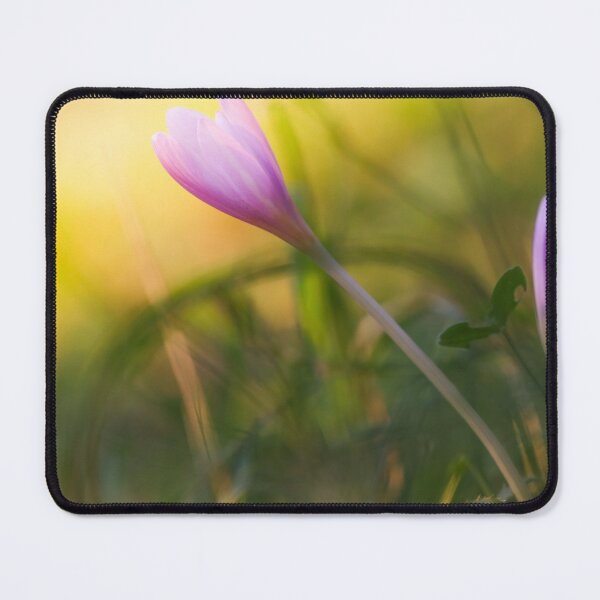 Item preview, Crocus designed and sold by Lauviahsdesign.
