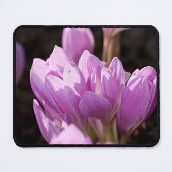 Item preview, Crocus designed and sold by Lauviahsdesign.