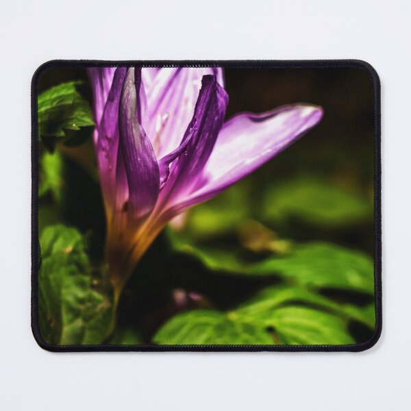 Item preview, Crocus designed and sold by Lauviahsdesign.