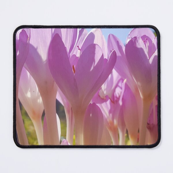 Item preview, Crocus designed and sold by Lauviahsdesign.