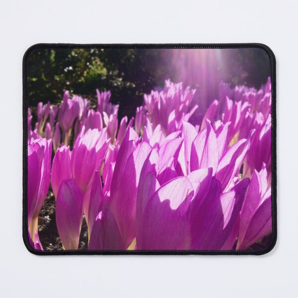 Item preview, Crocus designed and sold by Lauviahsdesign.