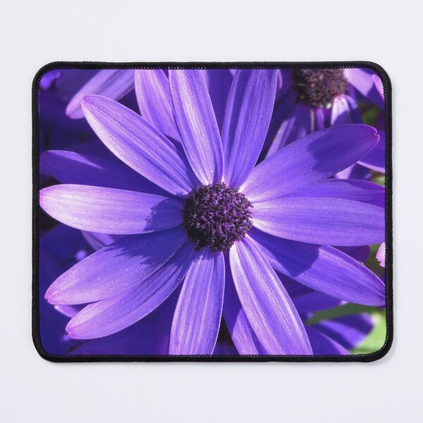 Item preview, Purple Delight Daisy designed and sold by Honey Myrtle Studio.