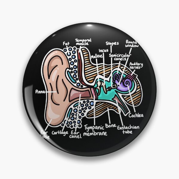 Item preview, Inner Ear Diagram - Audiology Science designed and sold by BundaBear.