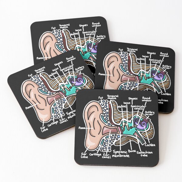 Item preview, Inner Ear Diagram - Audiology Science designed and sold by BundaBear.