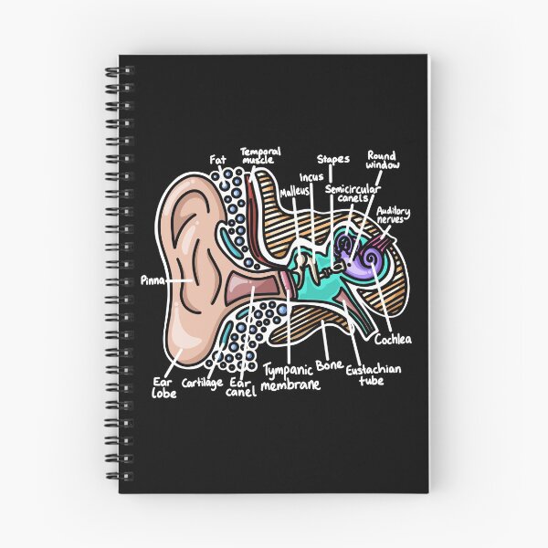 Item preview, Inner Ear Diagram - Audiology Science designed and sold by BundaBear.