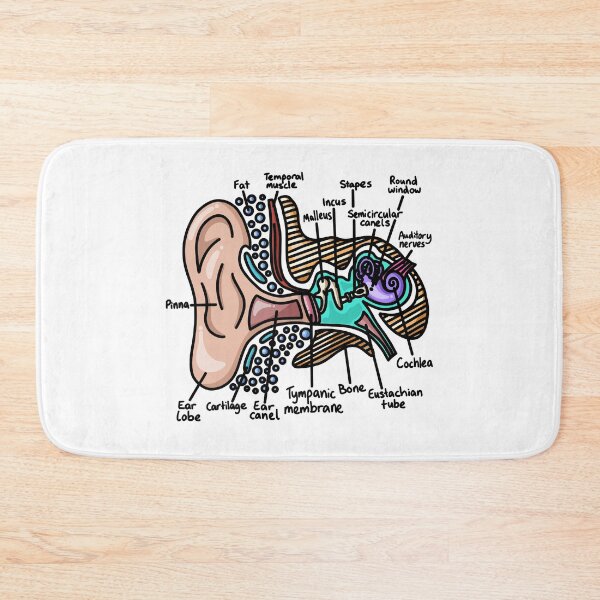 Item preview, Inner Ear Diagram - Audiology Science designed and sold by BundaBear.