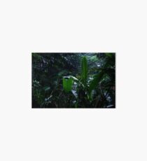 Vegetation Art Board