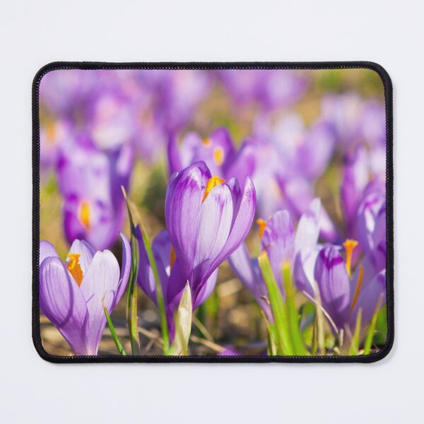 Item preview, Crocus designed and sold by Lauviahsdesign.