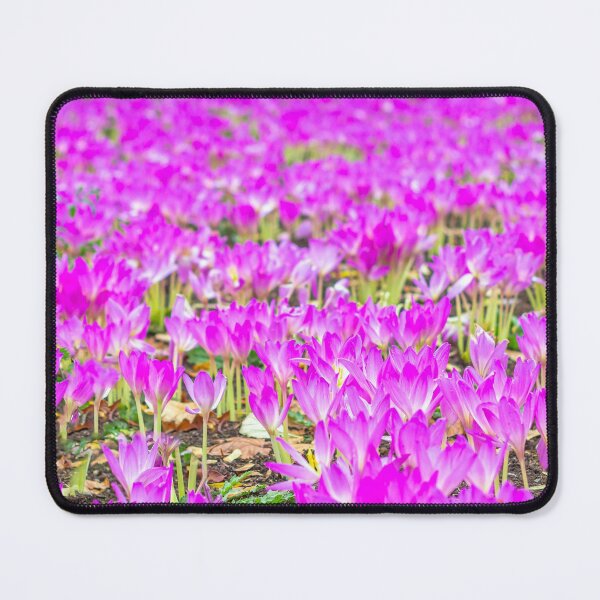 Item preview, Crocus designed and sold by Lauviahsdesign.