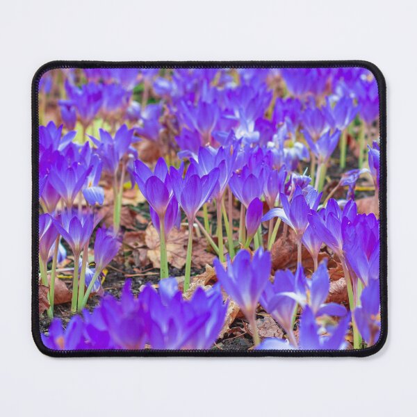 Item preview, Crocus designed and sold by Lauviahsdesign.