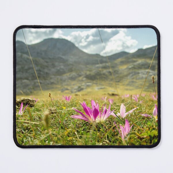 Item preview, Crocus designed and sold by Lauviahsdesign.