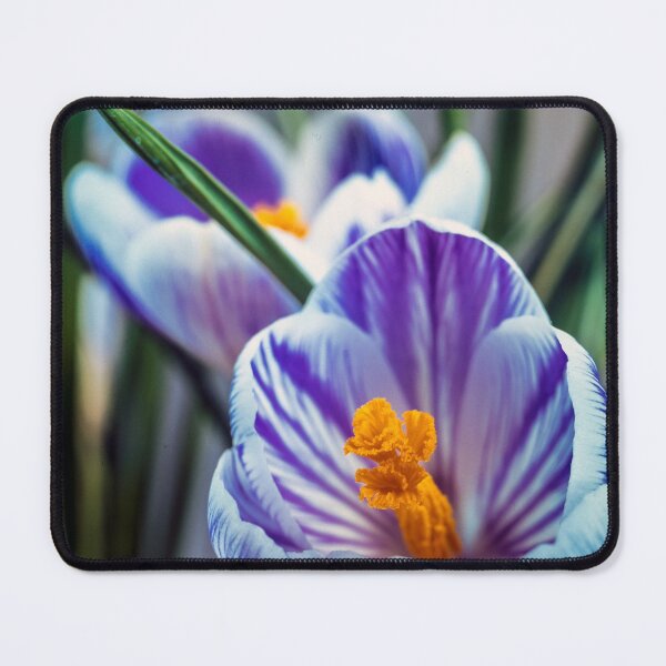 Item preview, Crocus designed and sold by Lauviahsdesign.