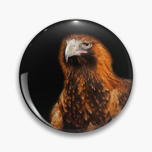 Artikelvorschau, Wedge-tailed Eagle on black entworfen und verkauft von rogersmith.