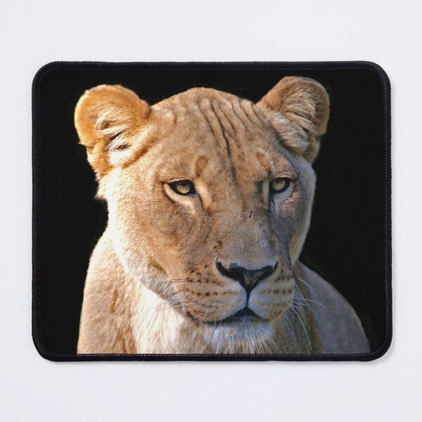 Item preview, lioness ~ on black designed and sold by rogersmith.