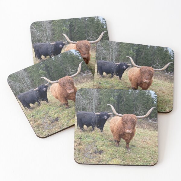 Item preview, Scottish Highland Cattle Bull and Cow 3051 designed and sold by SaarelaHighland.