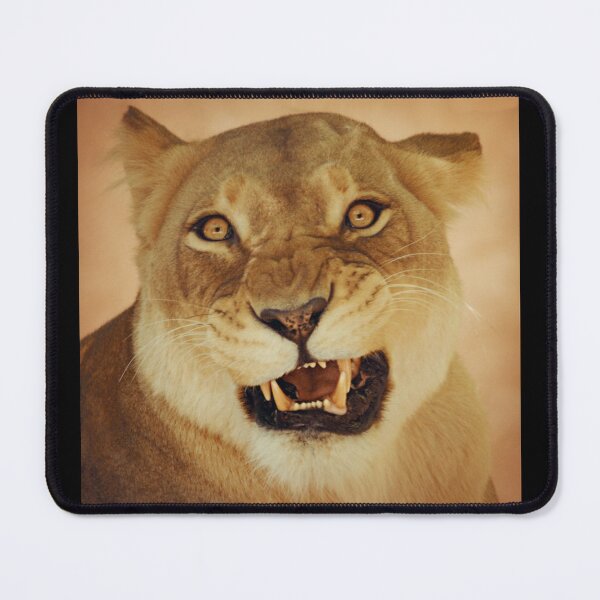 Item preview, angry lioness designed and sold by rogersmith.