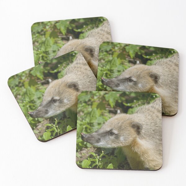 Item preview, South American Coati designed and sold by Vac1.
