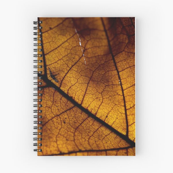 Item preview, Fallen Leaf Macro 2 designed and sold by BeThePhoto.