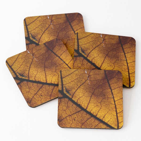 Item preview, Fallen Leaf Macro 2 designed and sold by BeThePhoto.