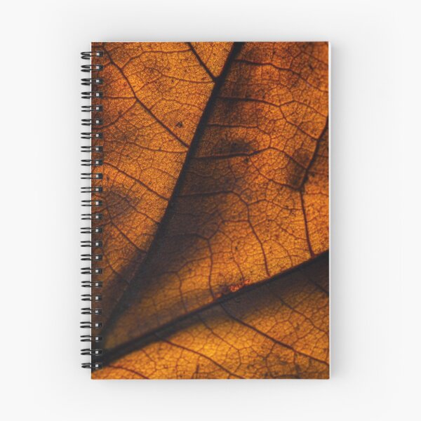 Item preview, Fallen Leaf Macro 4 designed and sold by BeThePhoto.