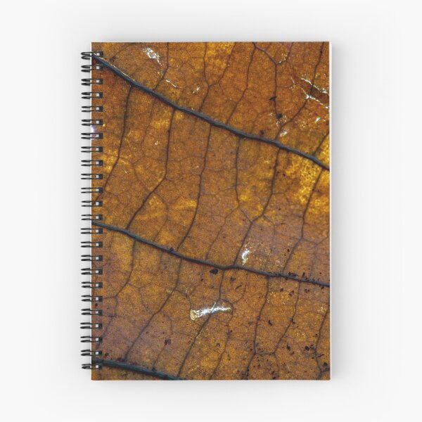 Item preview, Fallen Leaf Macro 1 designed and sold by BeThePhoto.