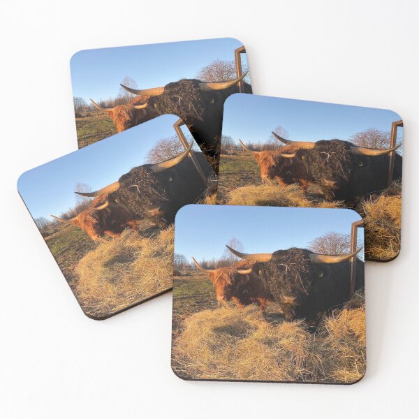 Item preview, Scottish Highland Cattle Cow and Bull 3070 designed and sold by SaarelaHighland.
