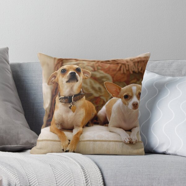 Item preview, Sadie and Ritz designed and sold by Kristin Yata.